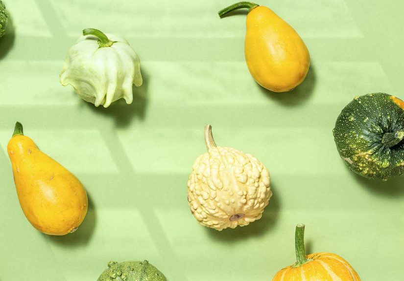 Common Types of SquashFrom Acorn to Zucchini