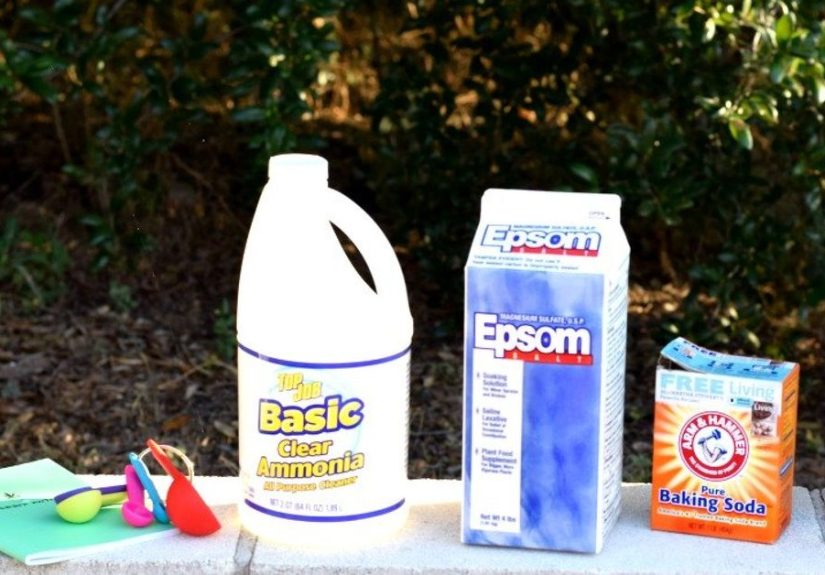 Easy Homemade Plant Food DIY