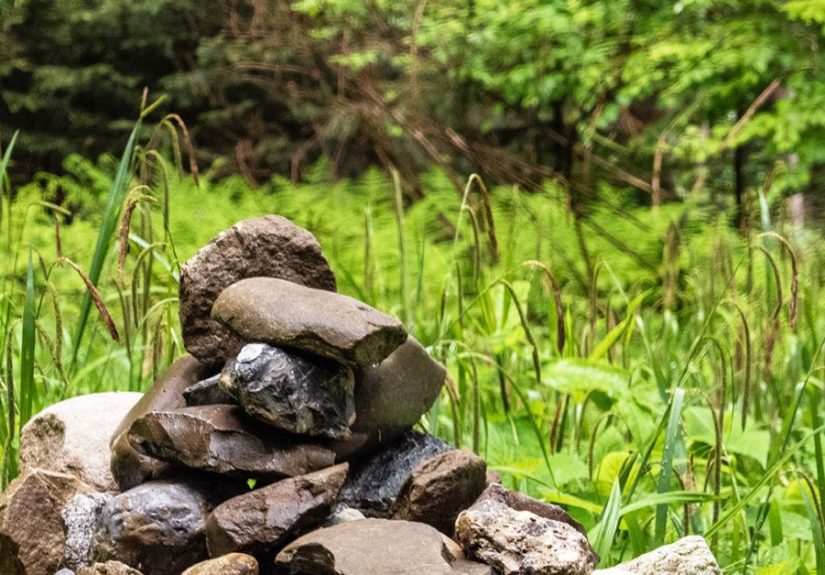 Forget Dead and Buried. You Can Be “Composted” in Final Resting Place
