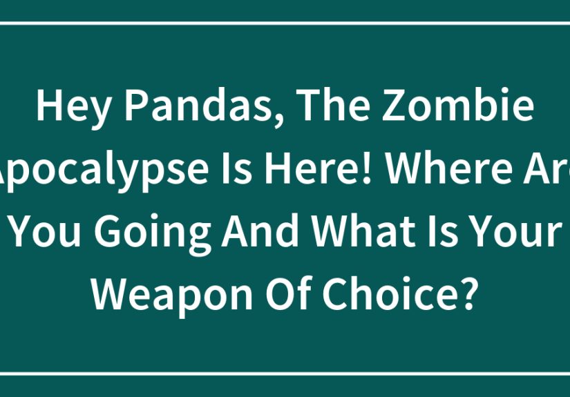 Hey Pandas, The Zombie Apocalypse Is Here! Where Are You Going And What Is Your Weapon Of Choice?