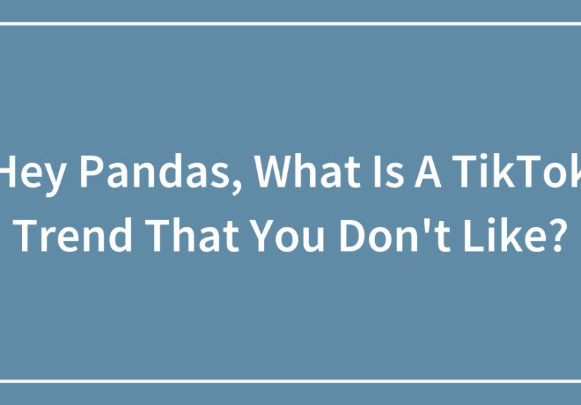 Hey Pandas, What Is A TikTok Trend That You Don’t Like?