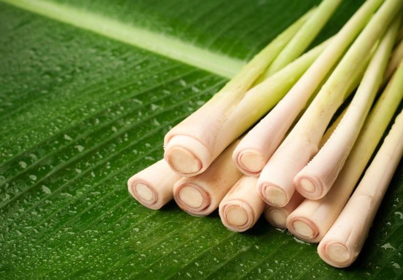 Lemongrass Ginger Sauce Recipe