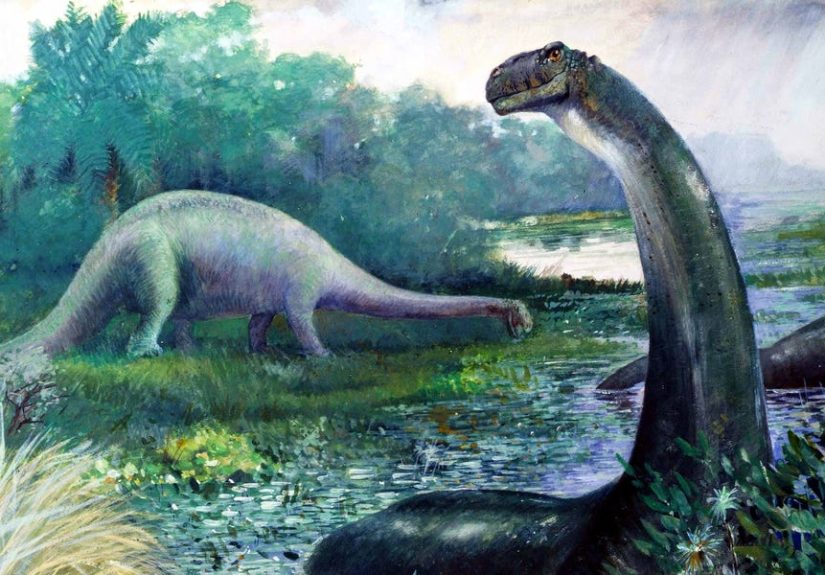 Mokele-Mbembe: The Truth About the Dinosaur of the Congo