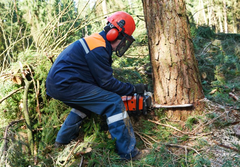The 7 Best Chainsaw Chaps, Vetted  Picks from Bob Vila