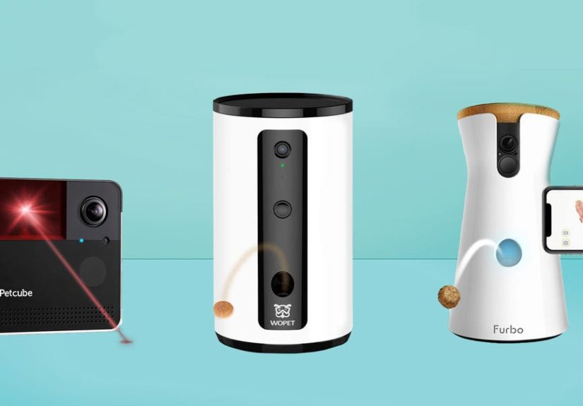 6 Best Pet Cameras of 2024, Tested & Reviewed