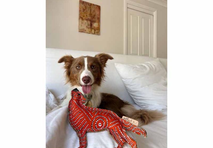 Desert Dog Chew Toy - Red Man
