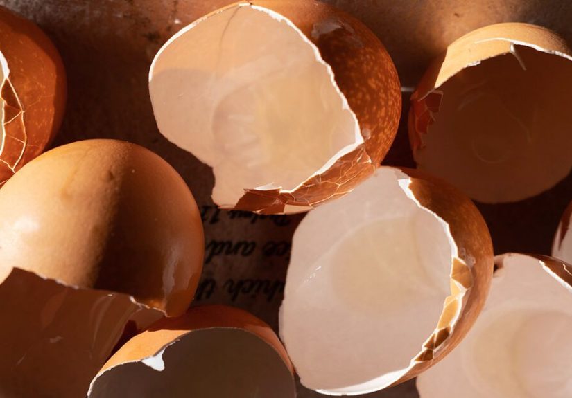 Eggs and Cholesterol  How Many Eggs Can You Safely Eat?
