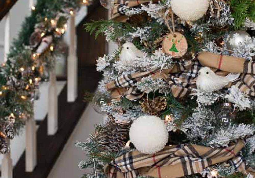 Friday Favorites: Pantry Storage and Holiday Favorites