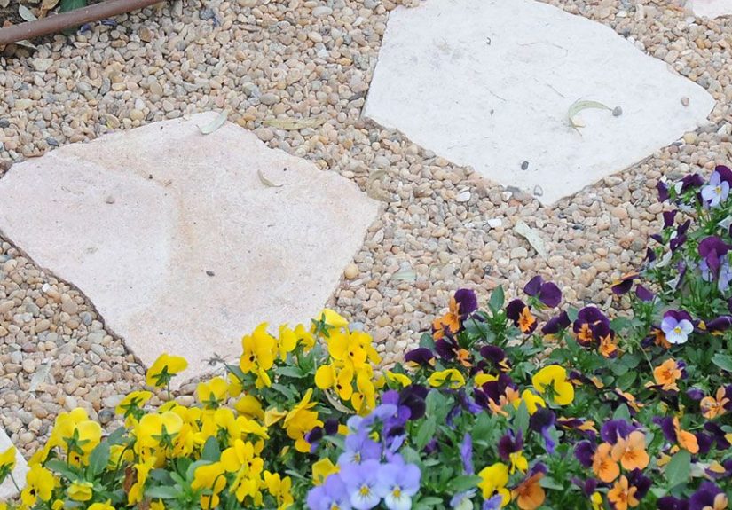 Garden Projects