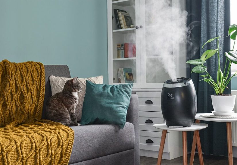 Humidifier for Sinus Problems: What Works Best?