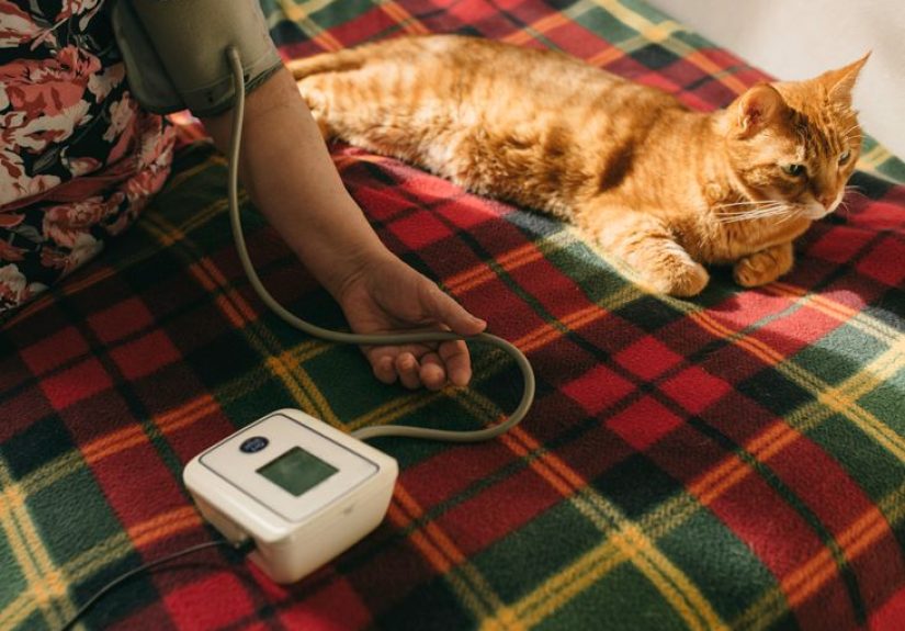 Medicare Coverage for Heart Disease: What’s Covered and What’s Not