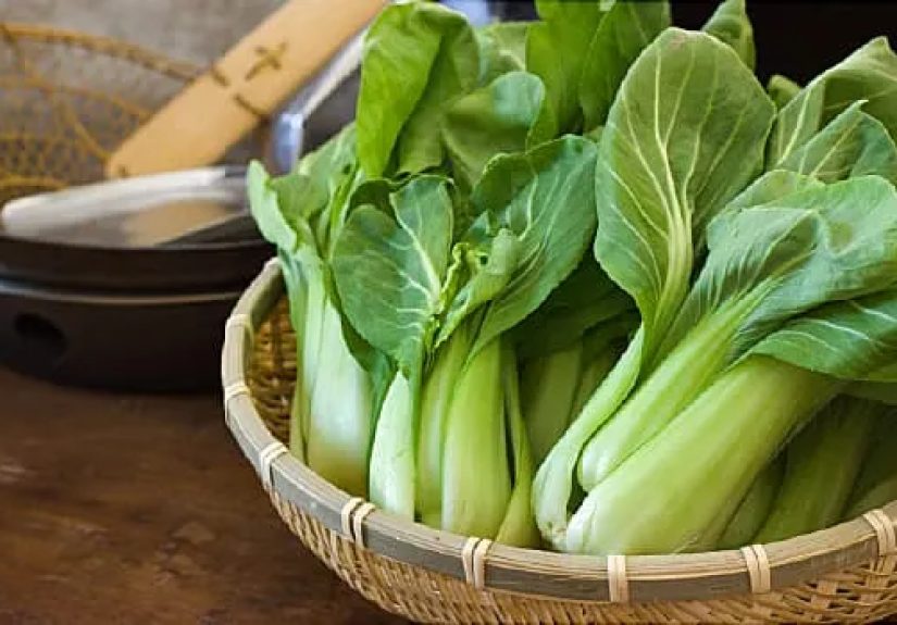 Osteoporosis Super-Foods for Strong Bones