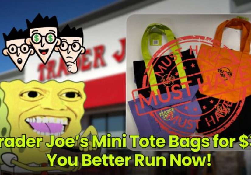 Trader Joe’s Mini Tote Bags for $3? You Better Run Now
