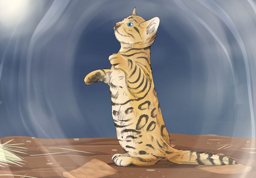 What Do Dreams with Kittens Mean? Symbolism & Interpretations