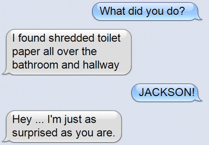 What If Cats Could Text? Woman Shares Conversations With Her 3 Rescued Cats