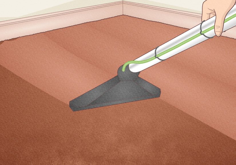 11+ Easy Ways to Remove Hair from a Carpet Without Vacuuming