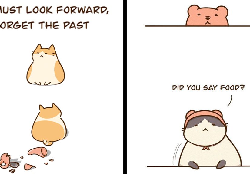 19 Wholesome Comics By Olive Yong Showing The Sweet And Naughty Side Of Chubby Cats