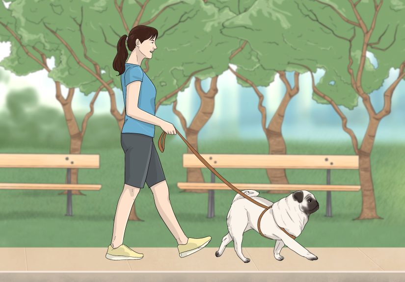 3 Ways to Get Your Dog to Stop Play Biting
