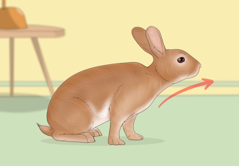 3 Ways to Read Bunny Ear Signals