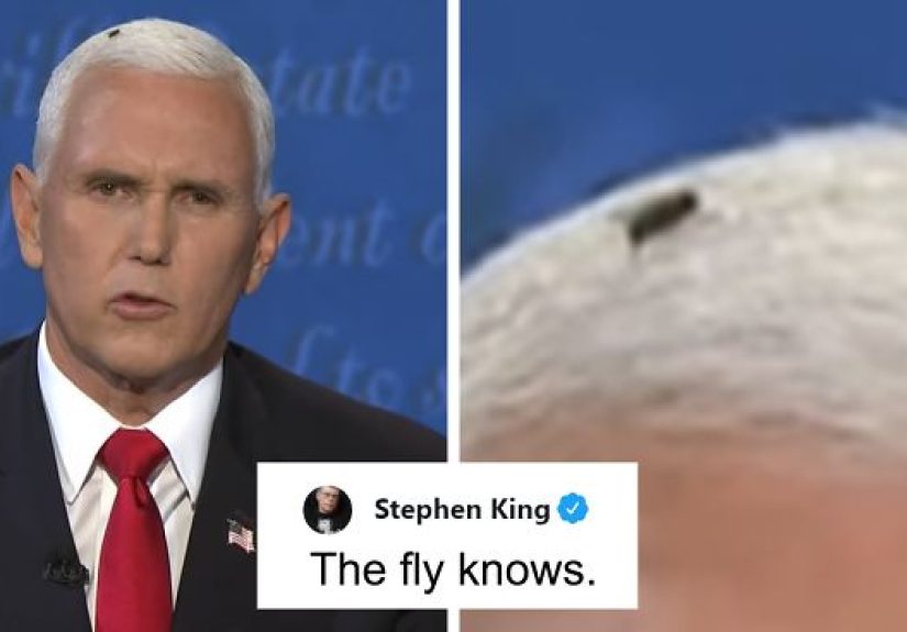 47 Memes That Wouldn’t Exist If The Fly Didn’t Land On Mike Pence’s Head Last Night