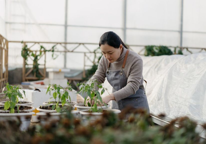 6 Ways to Improve Your Small Business