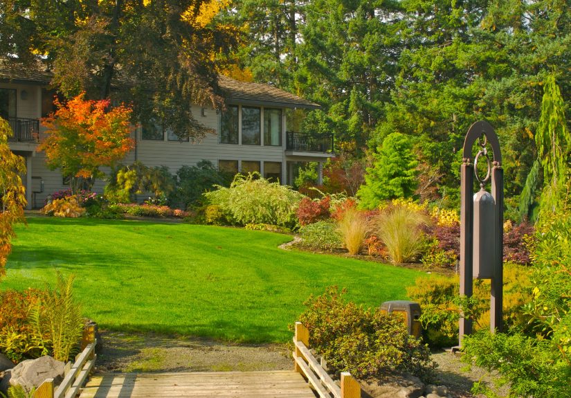 8 Common Fall Lawn Care Mistakes to Avoid for Healthier Grass in the Spring