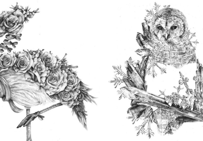 After Years Of Failing To Find My Drawing Style, I’m Finally Proud To Present These Animal Drawings