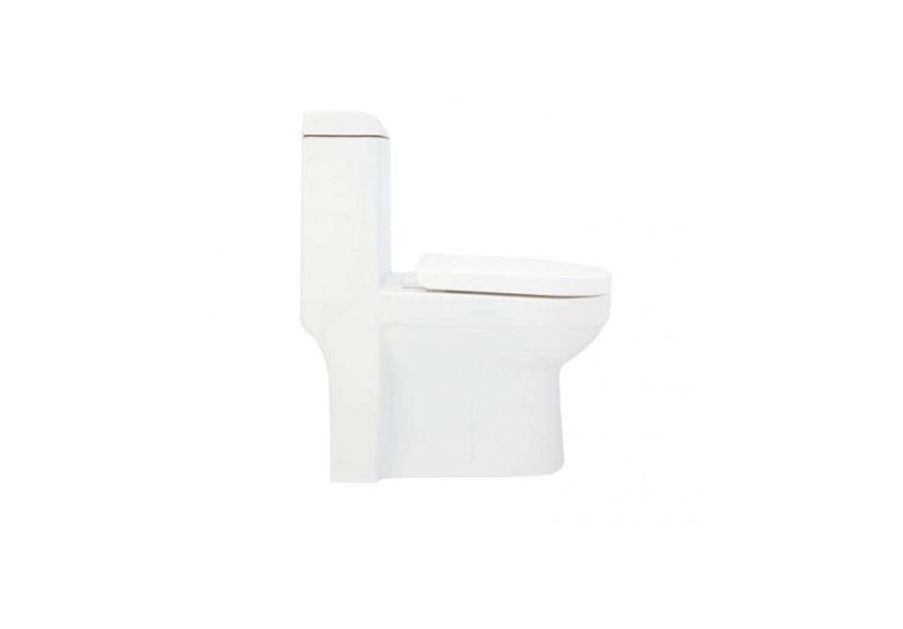 Arlow Dual-Flush One-Piece Elongated Toilet