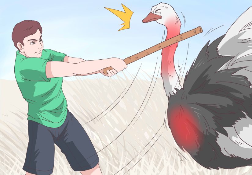 Can You Beat an Ostrich in a Fight?