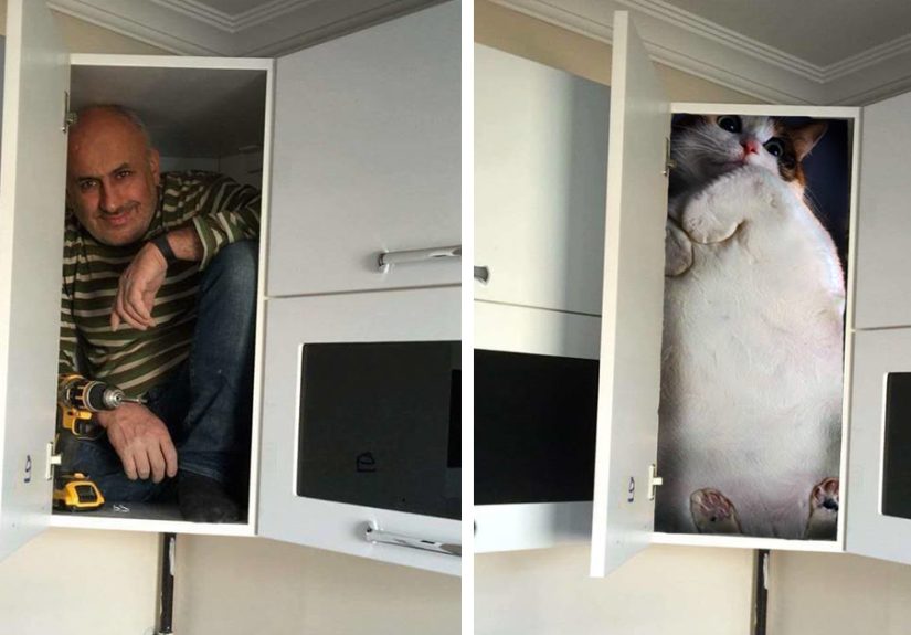 Contractor Gets In The Cabinet To Prove Its Sturdiness, Sparks Hilarious Photoshop Battle