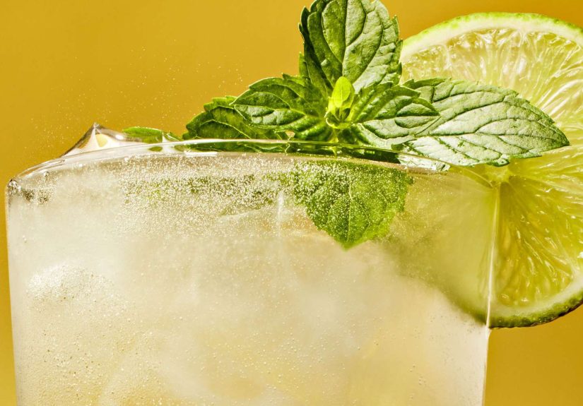 Elderflower Hugo Spritz Recipe