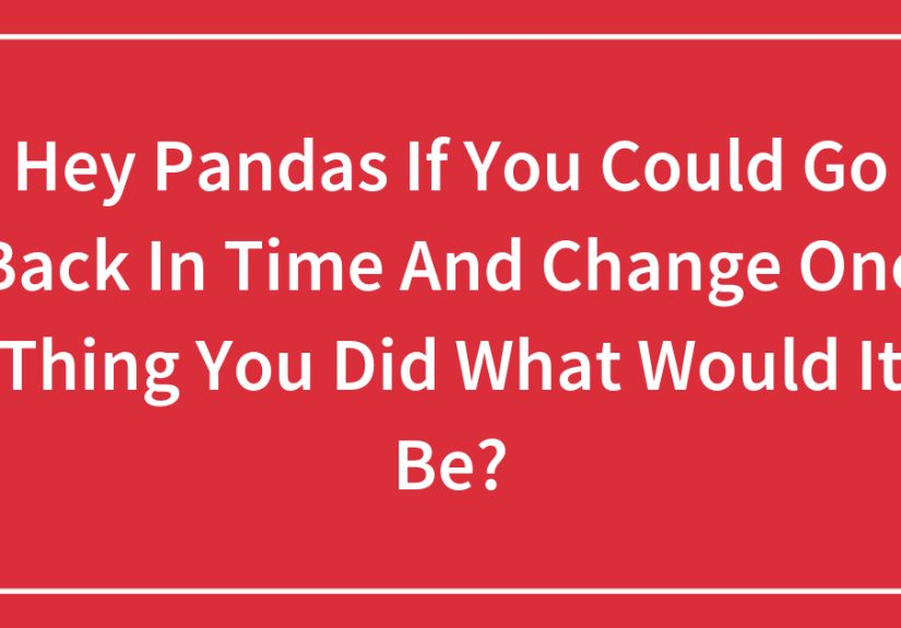 Hey Pandas If You Could Go Back In Time And Change One Thing You Did What Would It Be?
