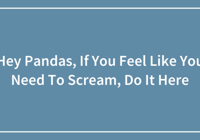 Hey Pandas, If You Feel Like You Need To Scream, Do It Here