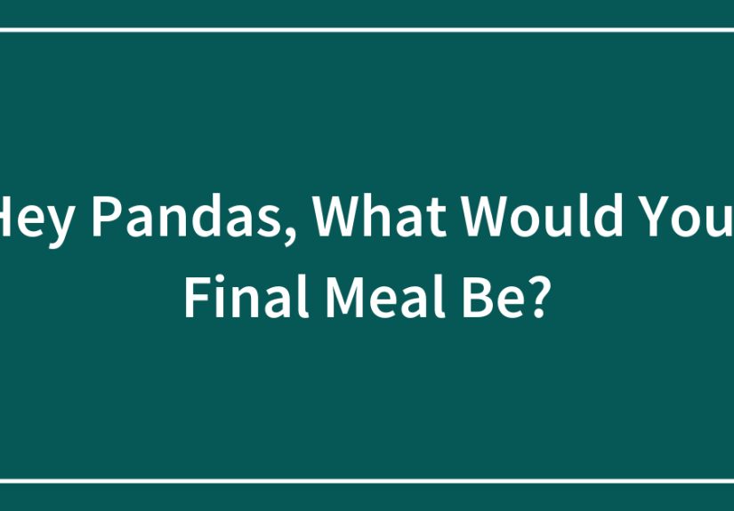 Hey Pandas, What Would Your Final Meal Be?