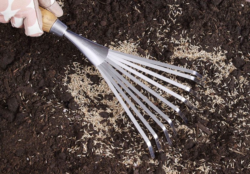 How Often You Should Water New Grass Seed So It Thrives Through Fall