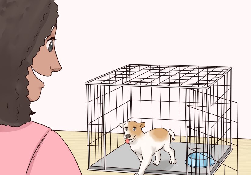 How to Crate Train a Puppy during the Day: 23 Expert Tips