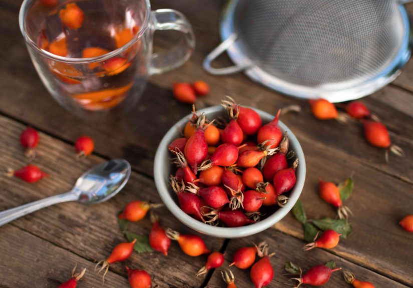 How to Harvest and Use Rose Hips