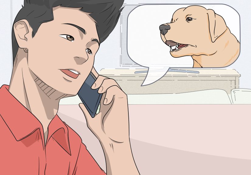 How to Test Dogs for Rabies: A Step-by-Step Guide
