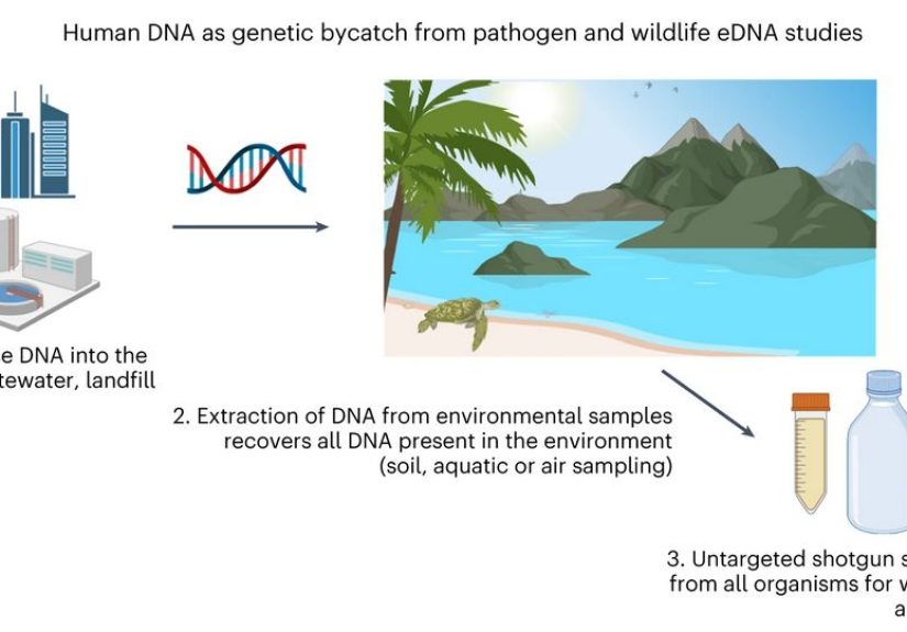 Human DNA Is Everywhere: A Boon For Science, While Terrifying Others