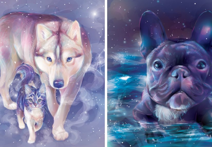 I Draw Digital Pet Portraits That Are Out Of This World