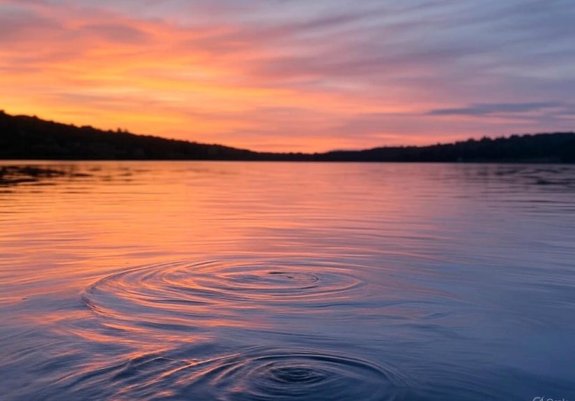 Imagining a career path beyond medicine and its impact