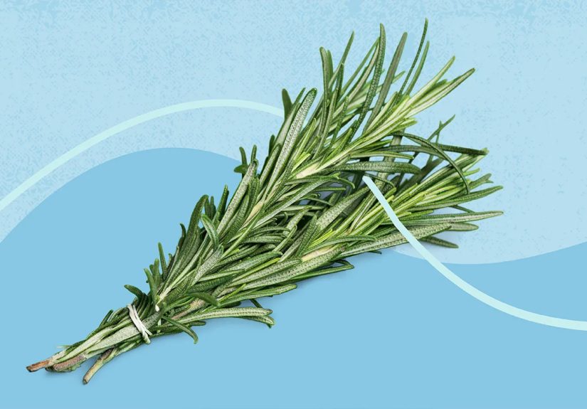 Is Rosemary Water Good for Hair Growth? What the Experts Say