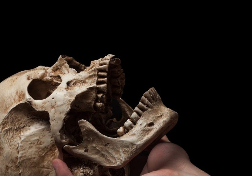 One Little Bone Could Change Everything We Know About Human Migration