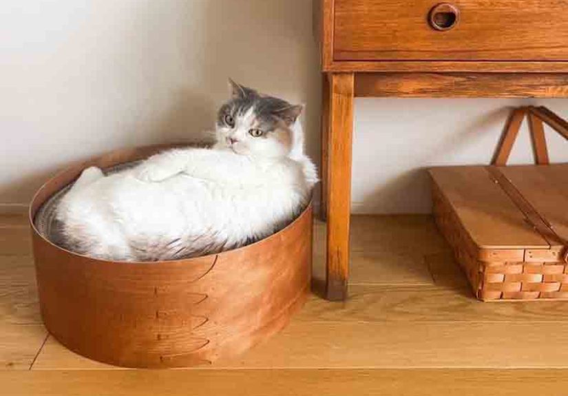 Orneko Shaker Cat Bed
