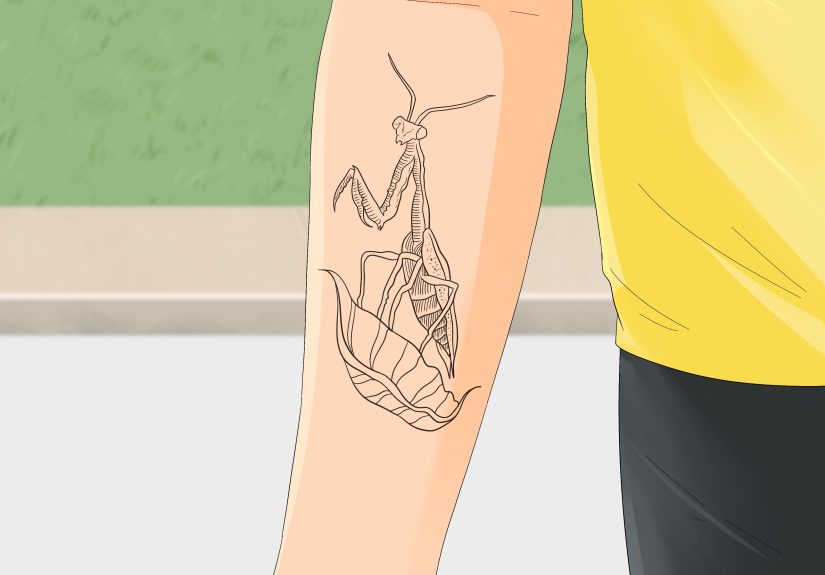 Praying Mantis Meaning: Spirituality, Dreams, & More