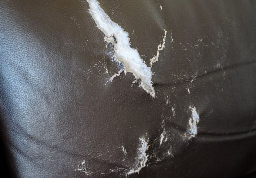 Save Your Sofa: Here's How to Repair a Tear in a Leather Couch