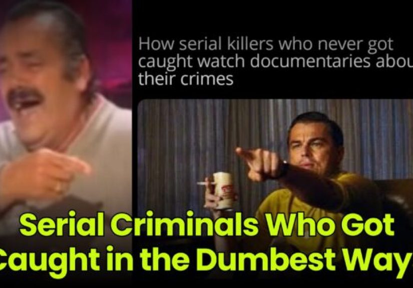 Serial Criminals Who Got Caught in the Dumbest Ways - Dumb Little Man