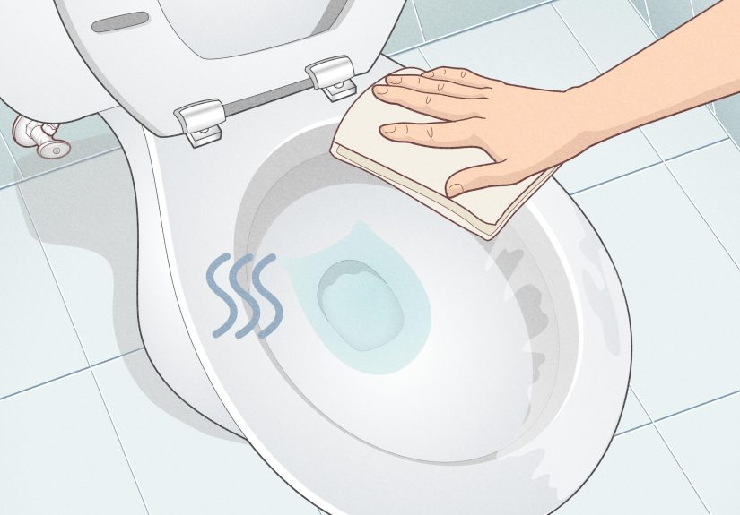 Simple Ways to Keep a Toilet Bowl Clean Naturally: 12 Steps