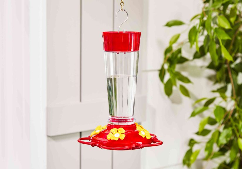 The 6 Best Hummingbird Feeders The Spruce Has Tested
