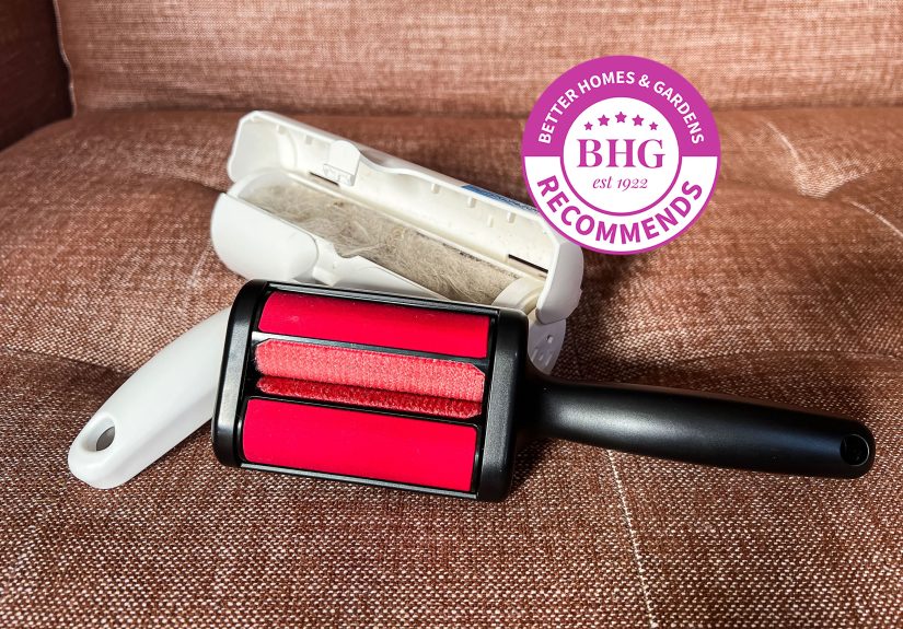 The 7 Best Pet Hair Removers Our Editors Recommend